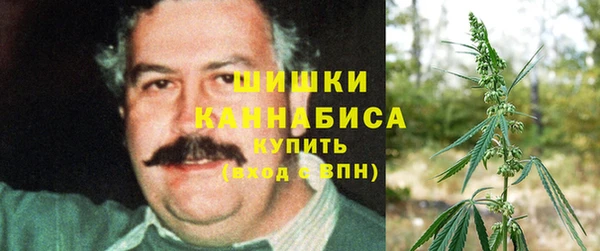 спайс Медвежьегорск