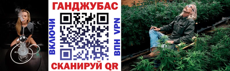 Канабис сатива  купить наркотики сайты  Жиздра 